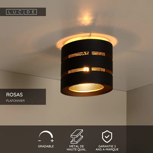 Lucide ROSAS - Plafonnier - Ø 26 cm - 1xE27 - Noir - USP